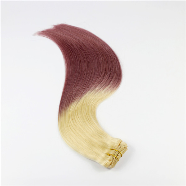  Hot sale cheap two tone omber color hair extensions clip inWJ006 